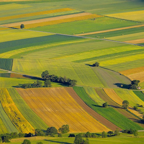 Sistemi di pesatura a bordo Agricoltura